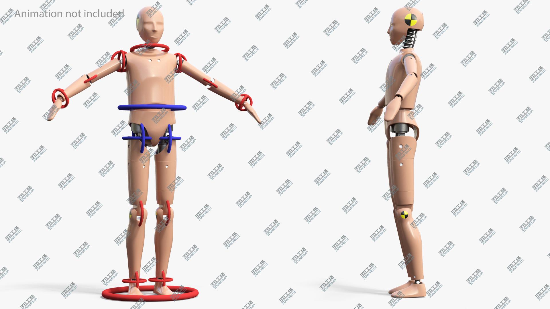 images/goods_img/202104093/Teenager Crash Test Dummy Rigged 3D/3.jpg